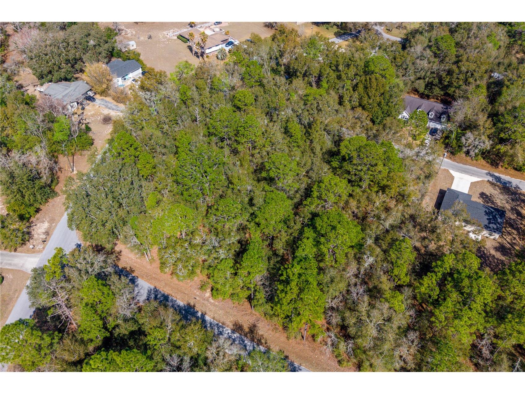 TBD NE 2nd St Lot 10 Williston FL 32696 GC537761 image5