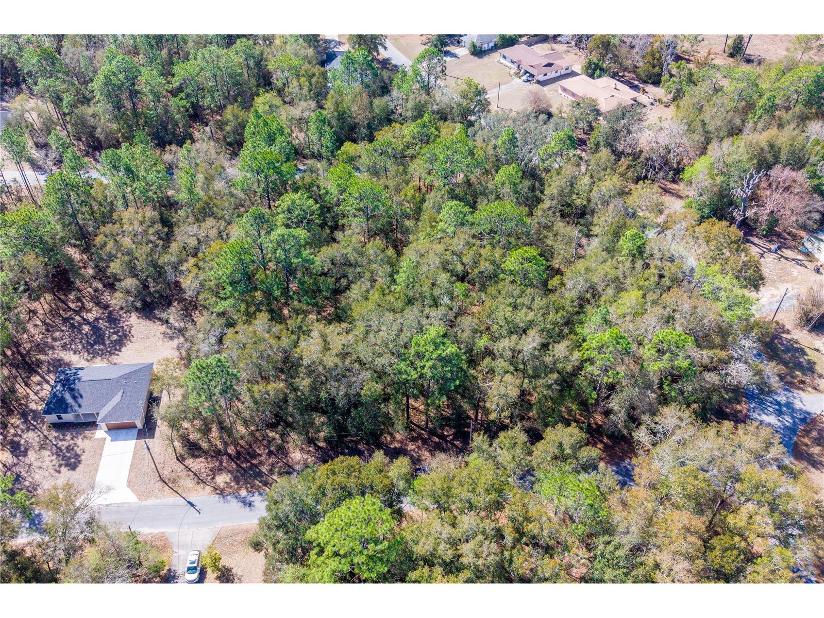 TBD NE 2nd St Lot 10 Williston FL 32696 GC537761 image6
