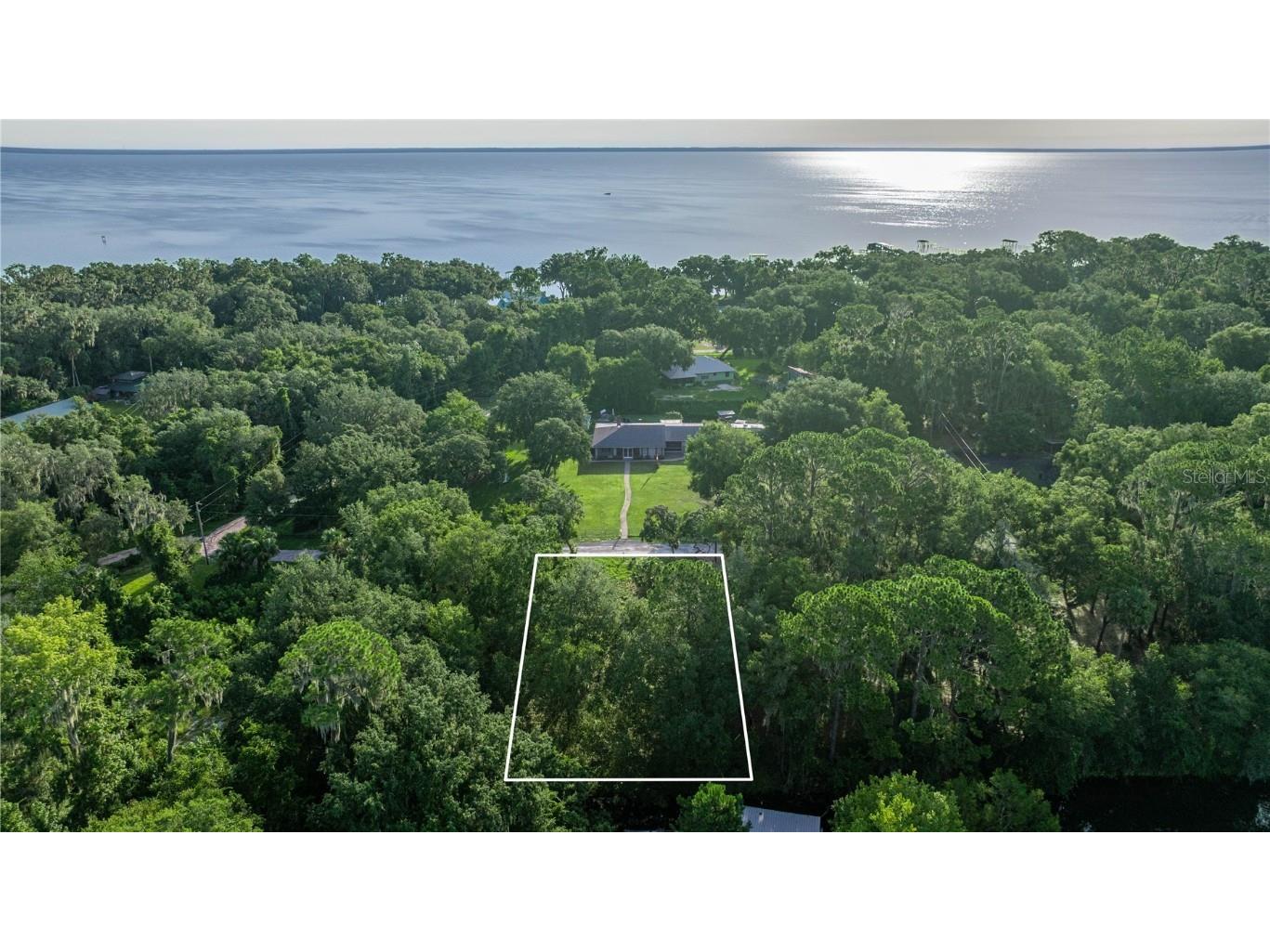 TBD NE 303rd Court Salt Springs FL 32134 - LAKE GEORGE CANAL OM706794 image1