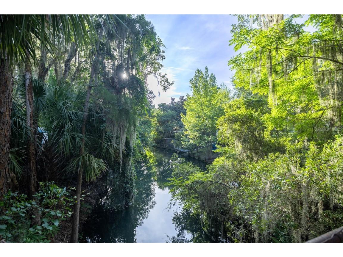 TBD NE 303rd Court Salt Springs FL 32134 - LAKE GEORGE CANAL OM706794 image2