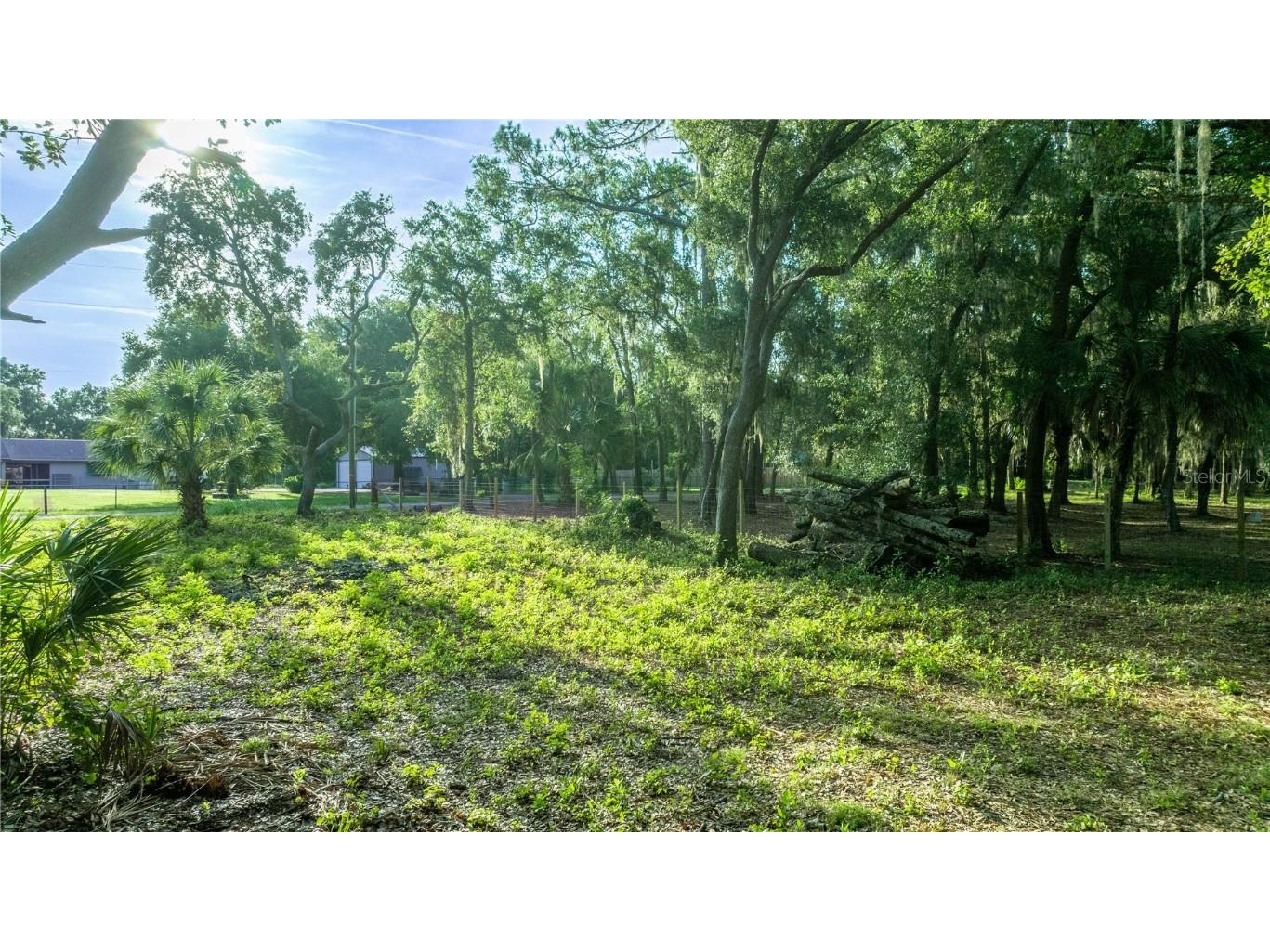 TBD NE 303rd Court Salt Springs FL 32134 - LAKE GEORGE CANAL OM706794 image3