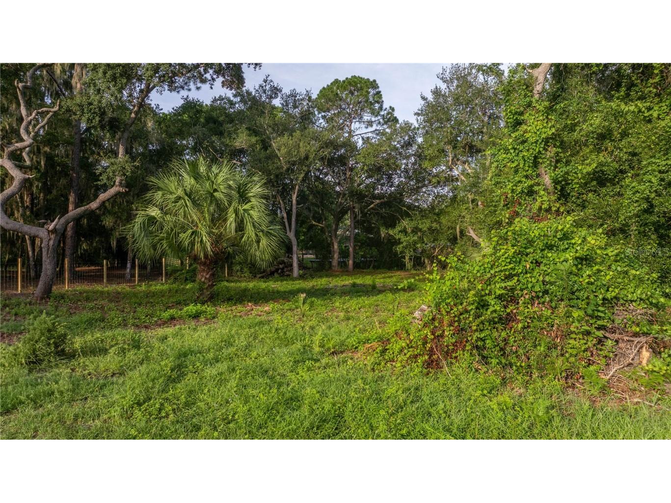 TBD NE 303rd Court Salt Springs FL 32134 - LAKE GEORGE CANAL OM706794 image4