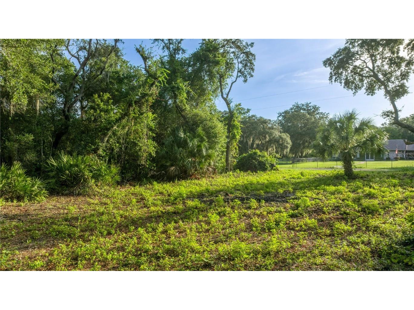 TBD NE 303rd Court Salt Springs FL 32134 - LAKE GEORGE CANAL OM706794 image5