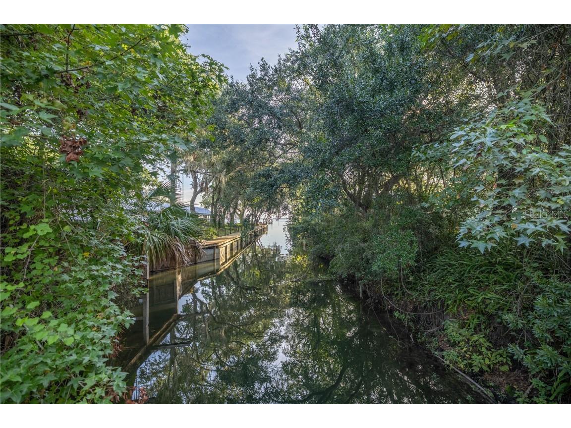 TBD NE 303rd Court Salt Springs FL 32134 - LAKE GEORGE CANAL OM706794 image6