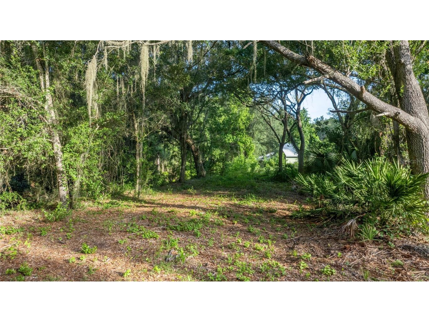 TBD NE 303rd Court Salt Springs FL 32134 - LAKE GEORGE CANAL OM706794 image7