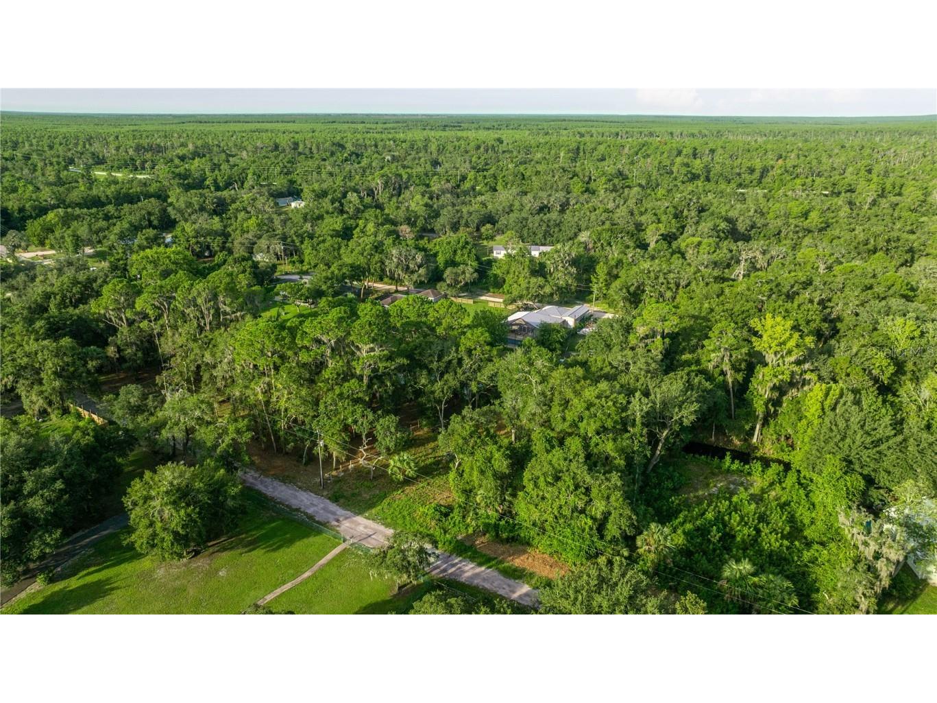 TBD NE 303rd Court Salt Springs FL 32134 - LAKE GEORGE CANAL OM706794 image8