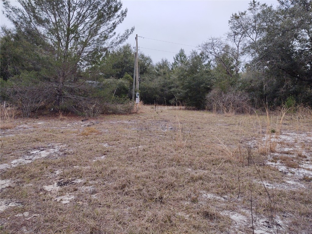 TBD NE 307th. Avenue Fort Mc Coy FL 32134 OM633106 image1