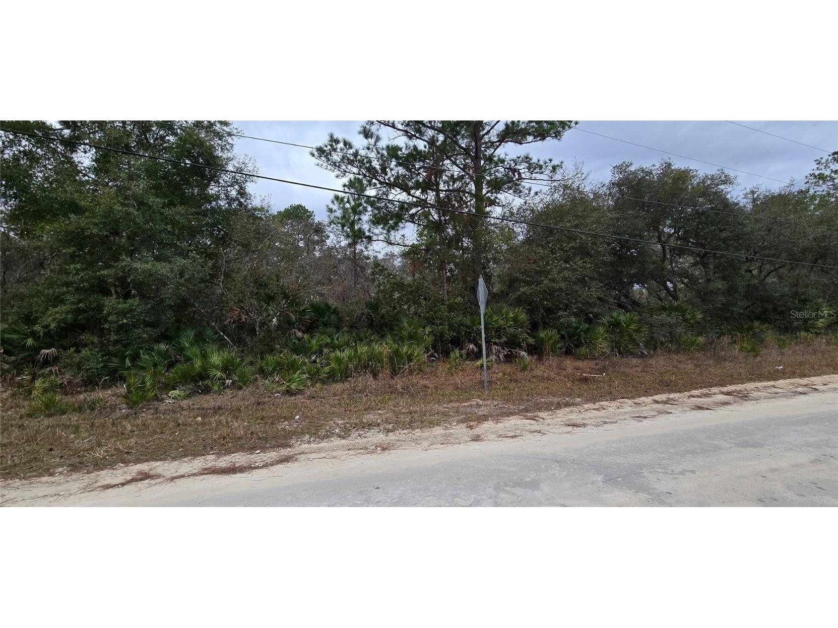 TBD NE 35th Ave Road NE Citra FL 32113 G5091382 image1