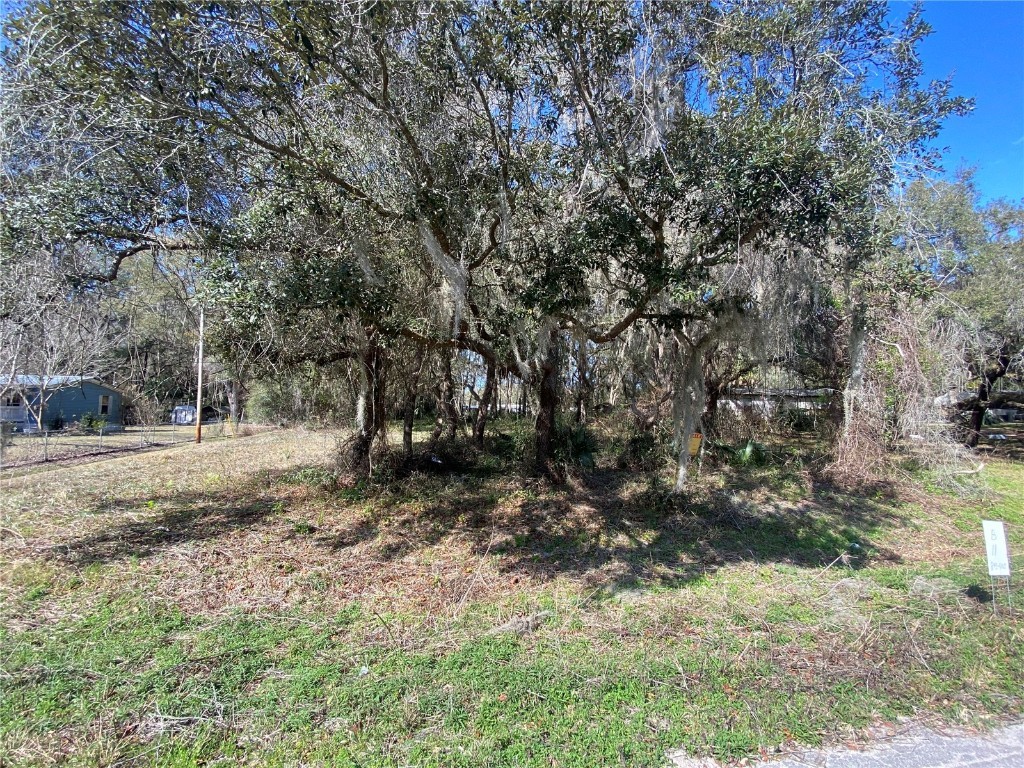 TBD NE 39th Court #LOT 11 Citra FL 32113 OM634720 image1