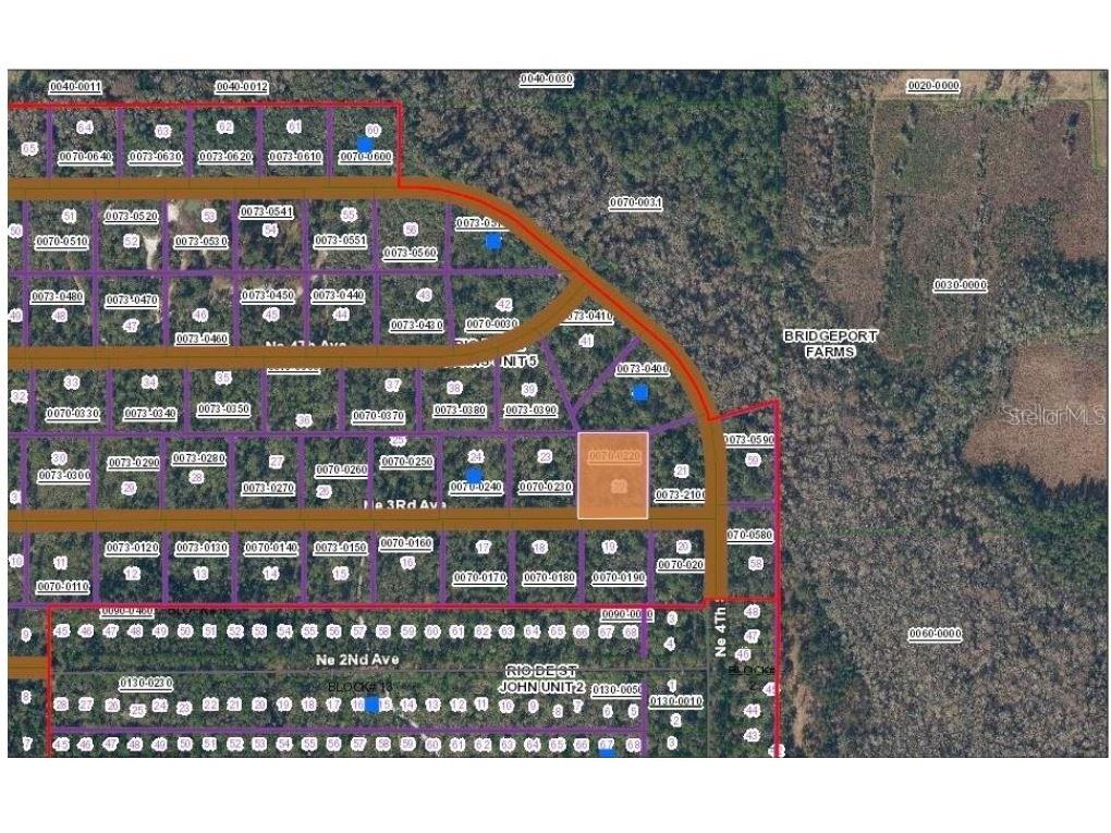 TBD NE 3rd Ave Palatka FL 32177 OM694642 image1