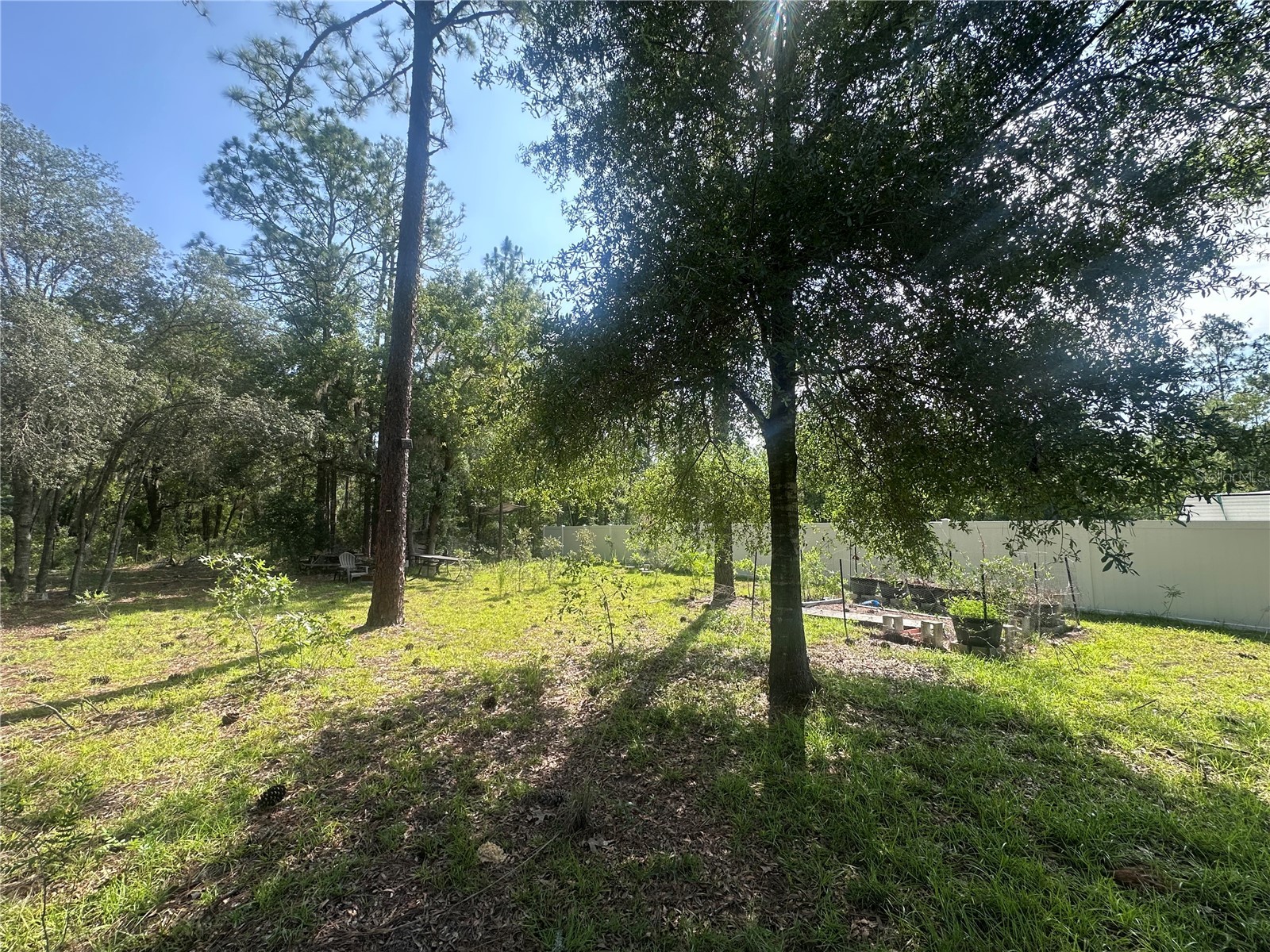 TBD NE 3rd Place Williston FL 32696 OM728202 image2