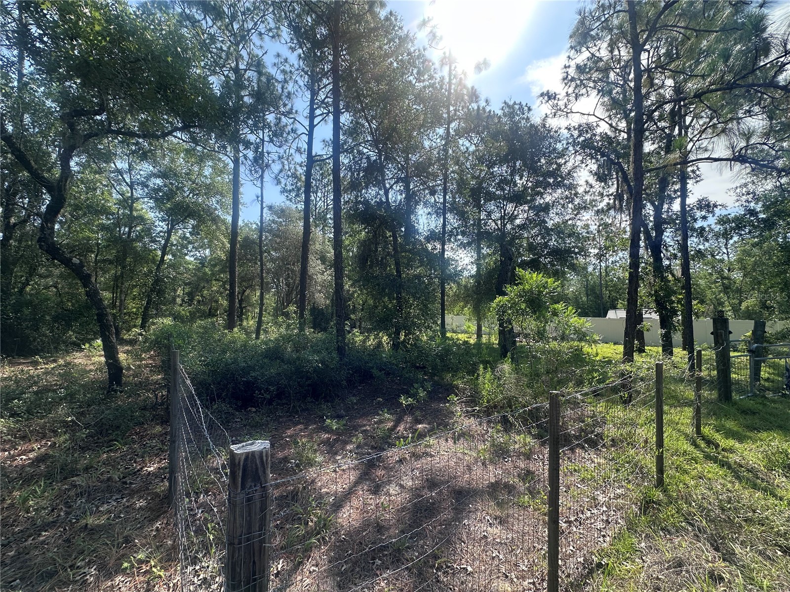 TBD NE 3rd Place Williston FL 32696 OM728202 image3