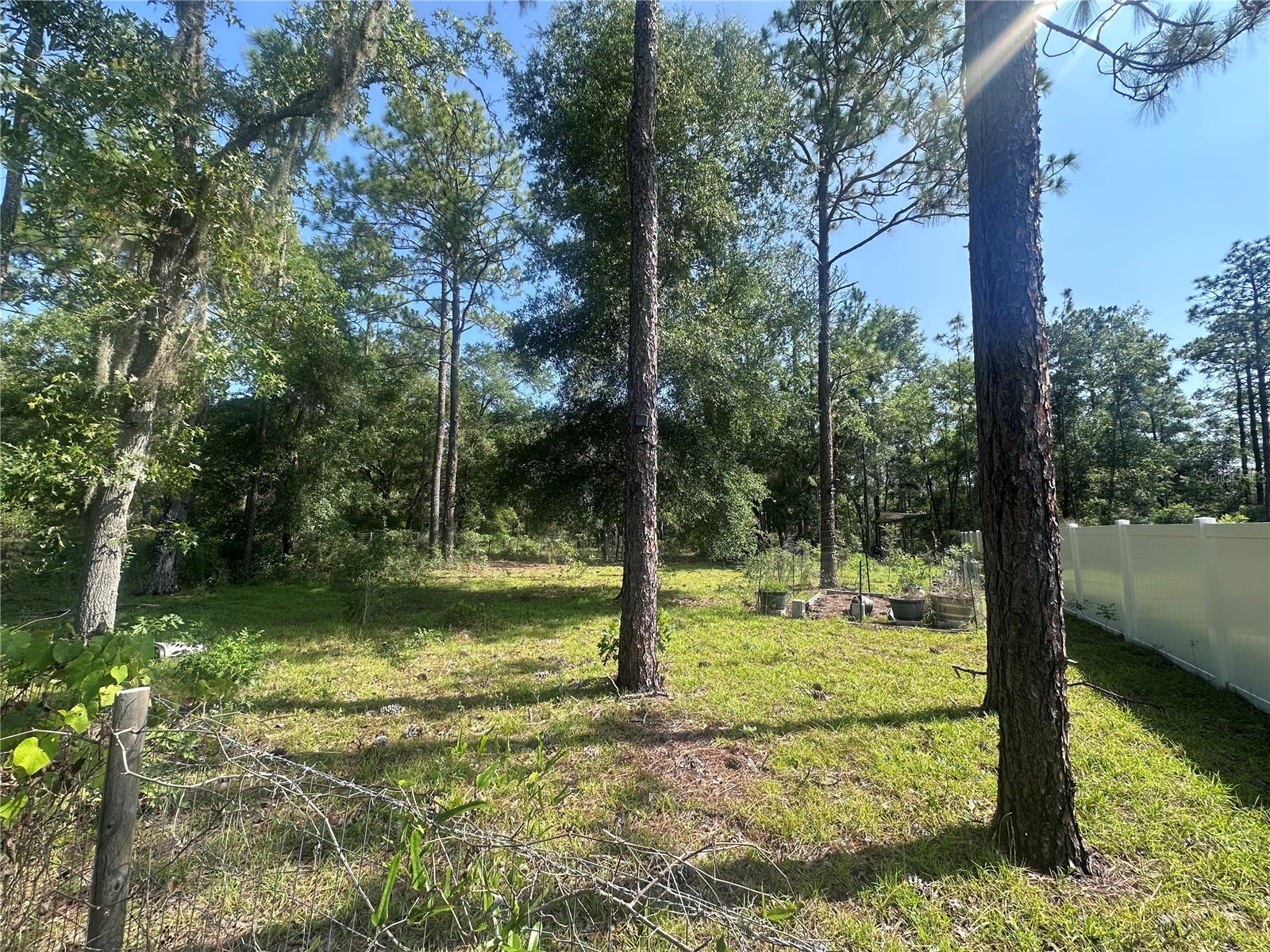 TBD NE 3rd Place Williston FL 32696 OM728202 image4