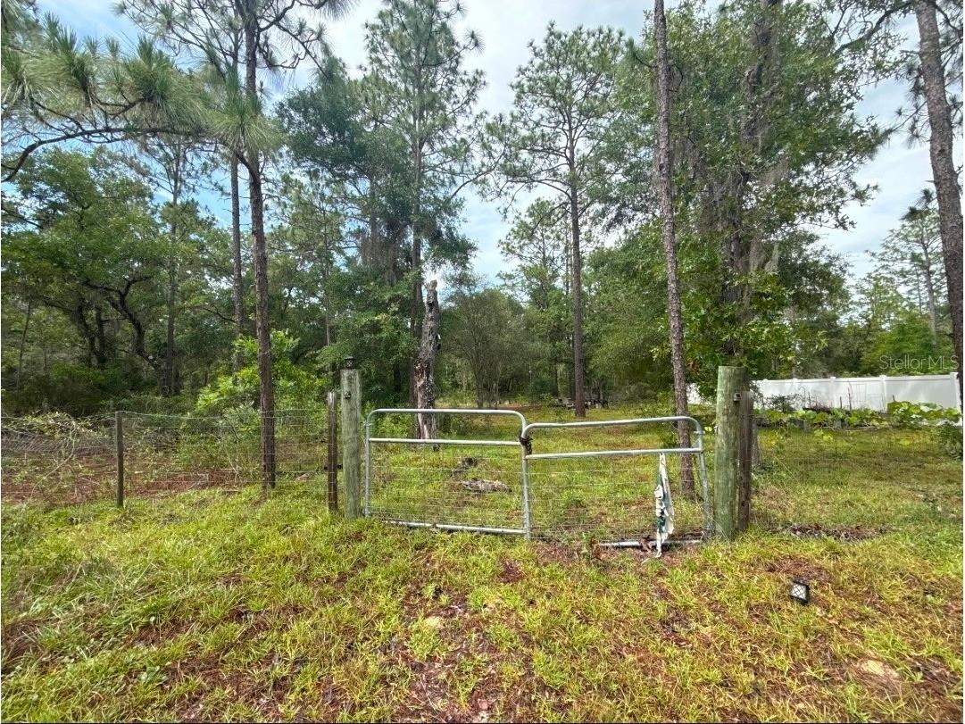 TBD NE 3rd Place Williston FL 32696 OM728202 image5