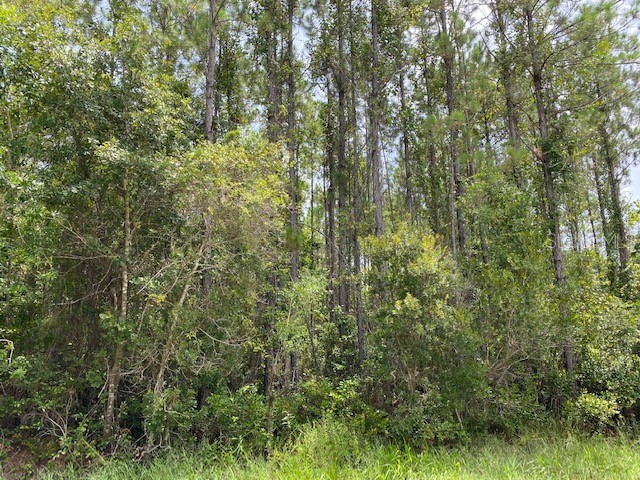 TBD NE 4 Avenue Palatka FL 32177 OM644577 image1