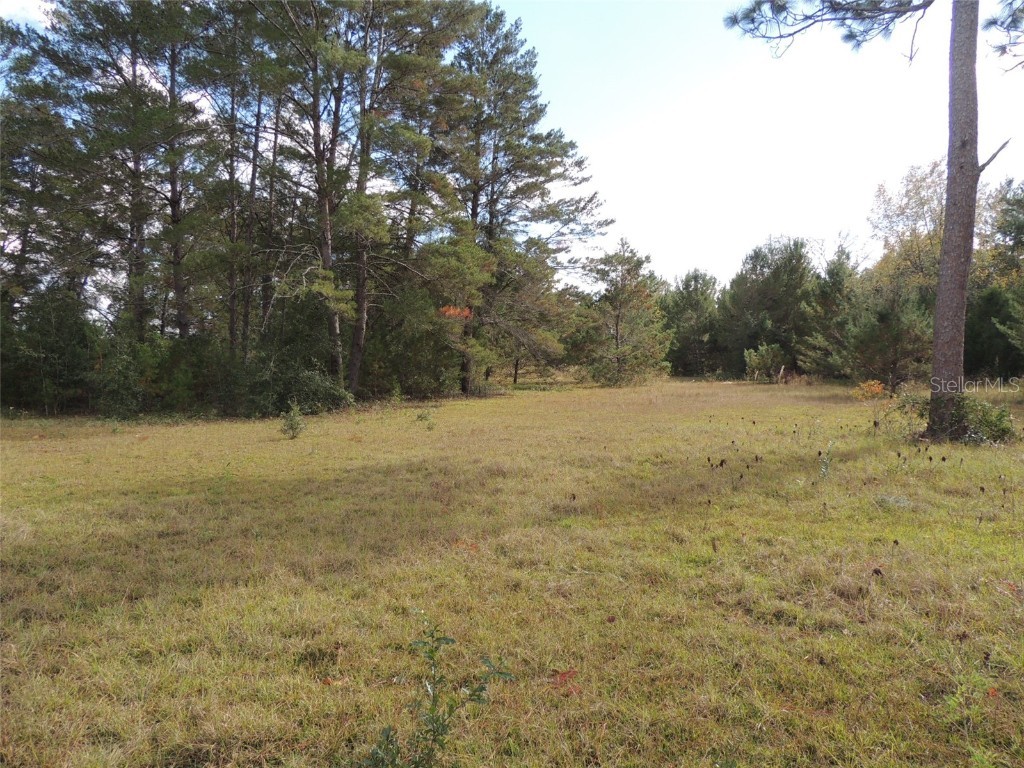 TBD NE 40th Lane Williston FL 32696 OM667970 image1