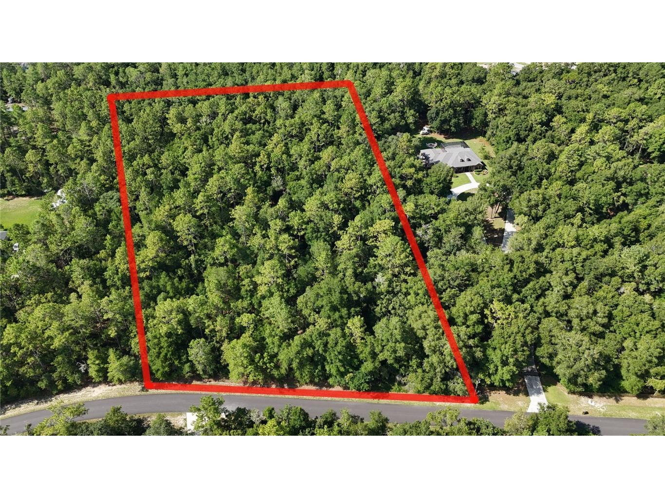 TBD NE 43rd Lane Road Silver Springs FL 34488 OM683632 image1