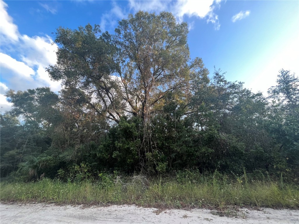 TBD NE 461 Avenue Old Town FL 32680 OK223288 image1