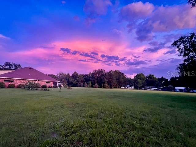 TBD NE 49th Street Williston FL 32696 OM713986 image28