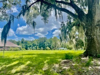 TBD NE 49th Street Williston FL 32696 OM713986 image3