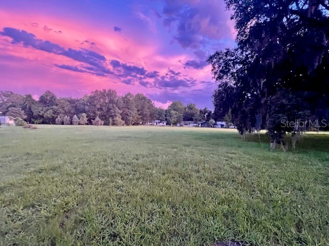 TBD NE 49th Street Williston FL 32696 OM713986 image4