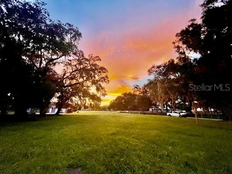 TBD NE 49th Street Williston FL 32696 OM713986 image6