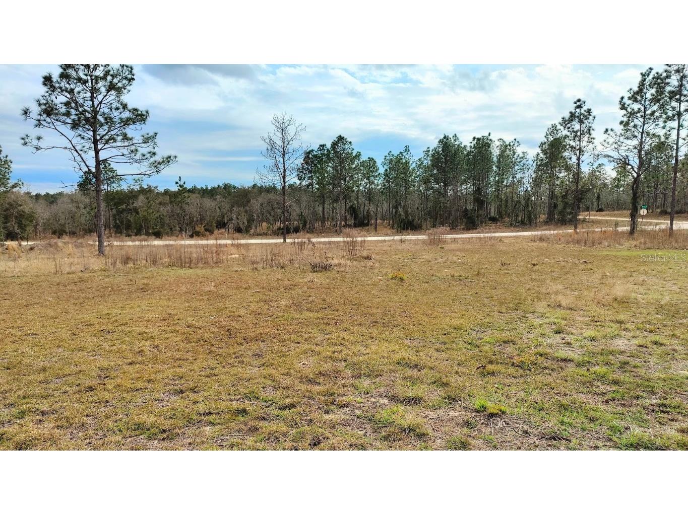 TBD Ne 4th St Williston FL 32696 OM673102 image1