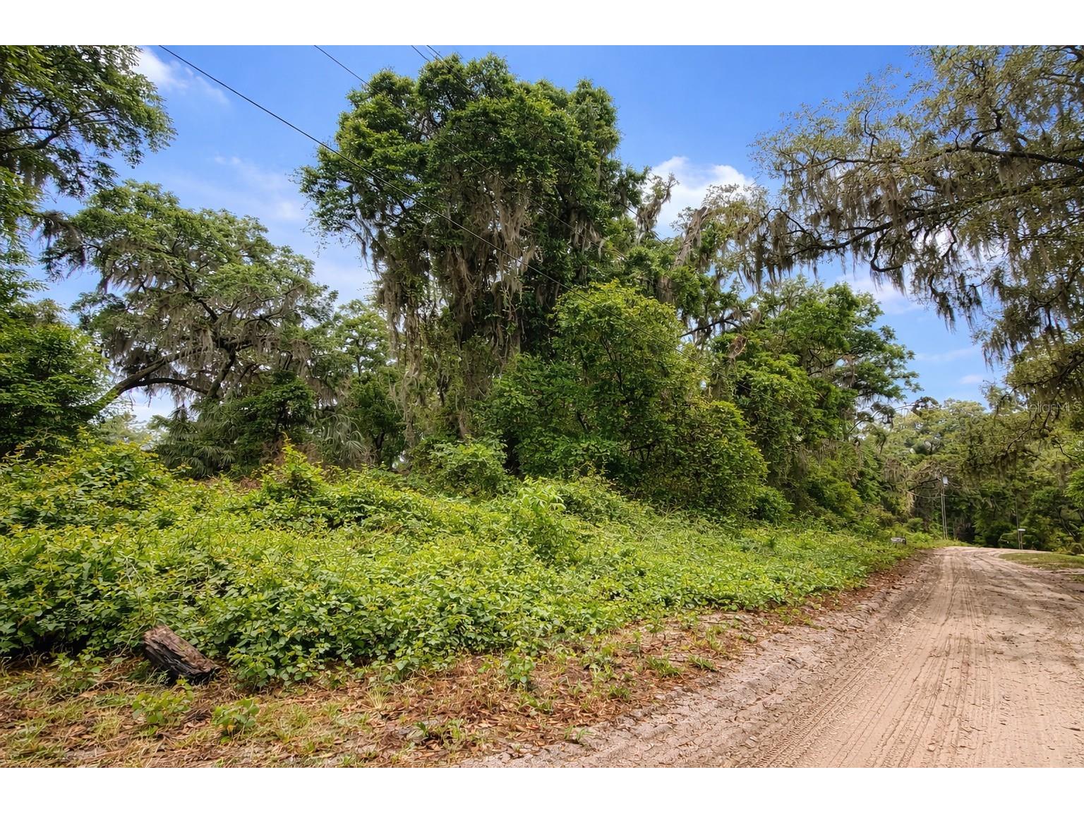 TBD NE 52nd Court Anthony FL 32617 OM722374 image1