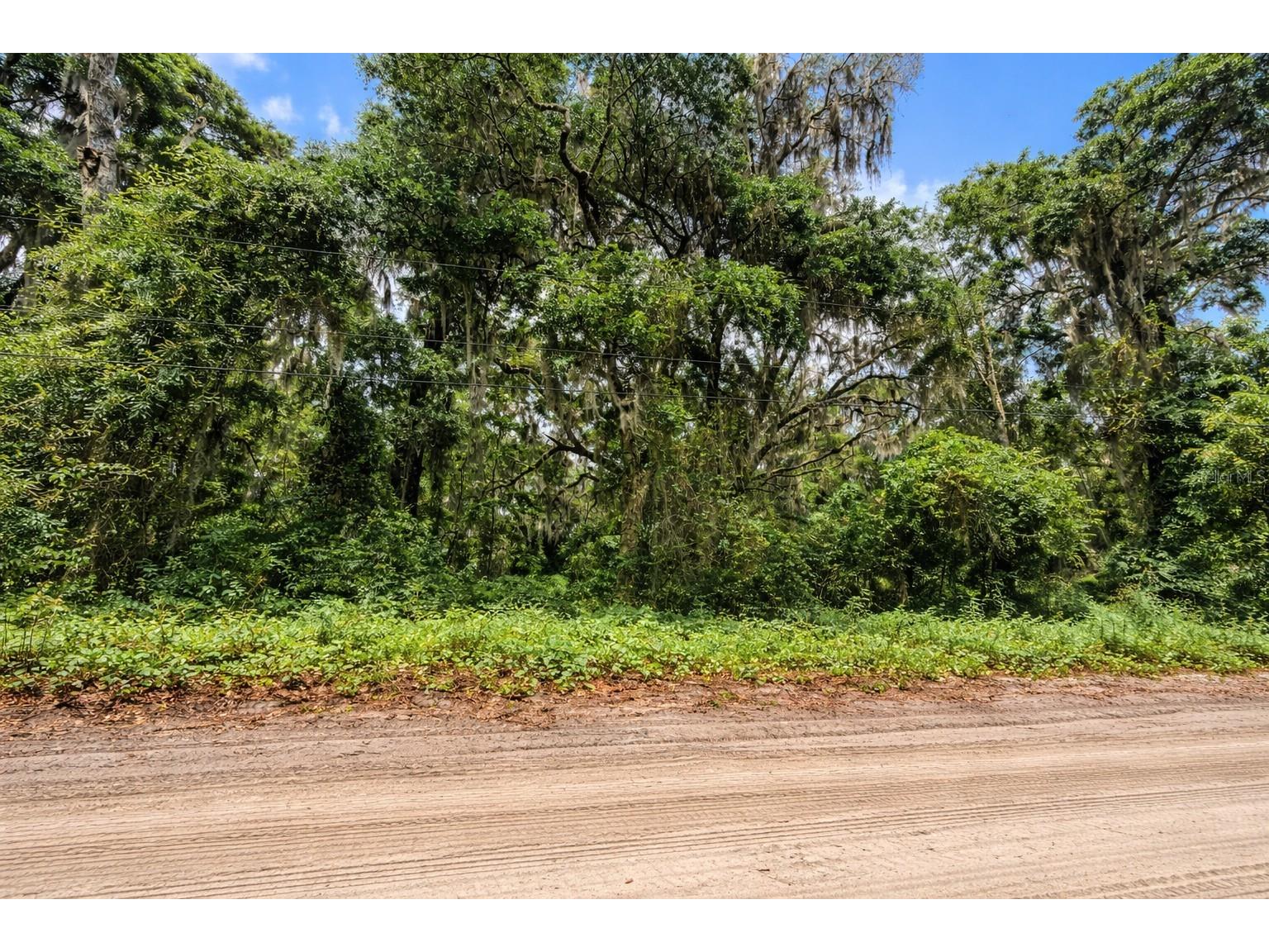 TBD NE 52nd Court Anthony FL 32617 OM722374 image2