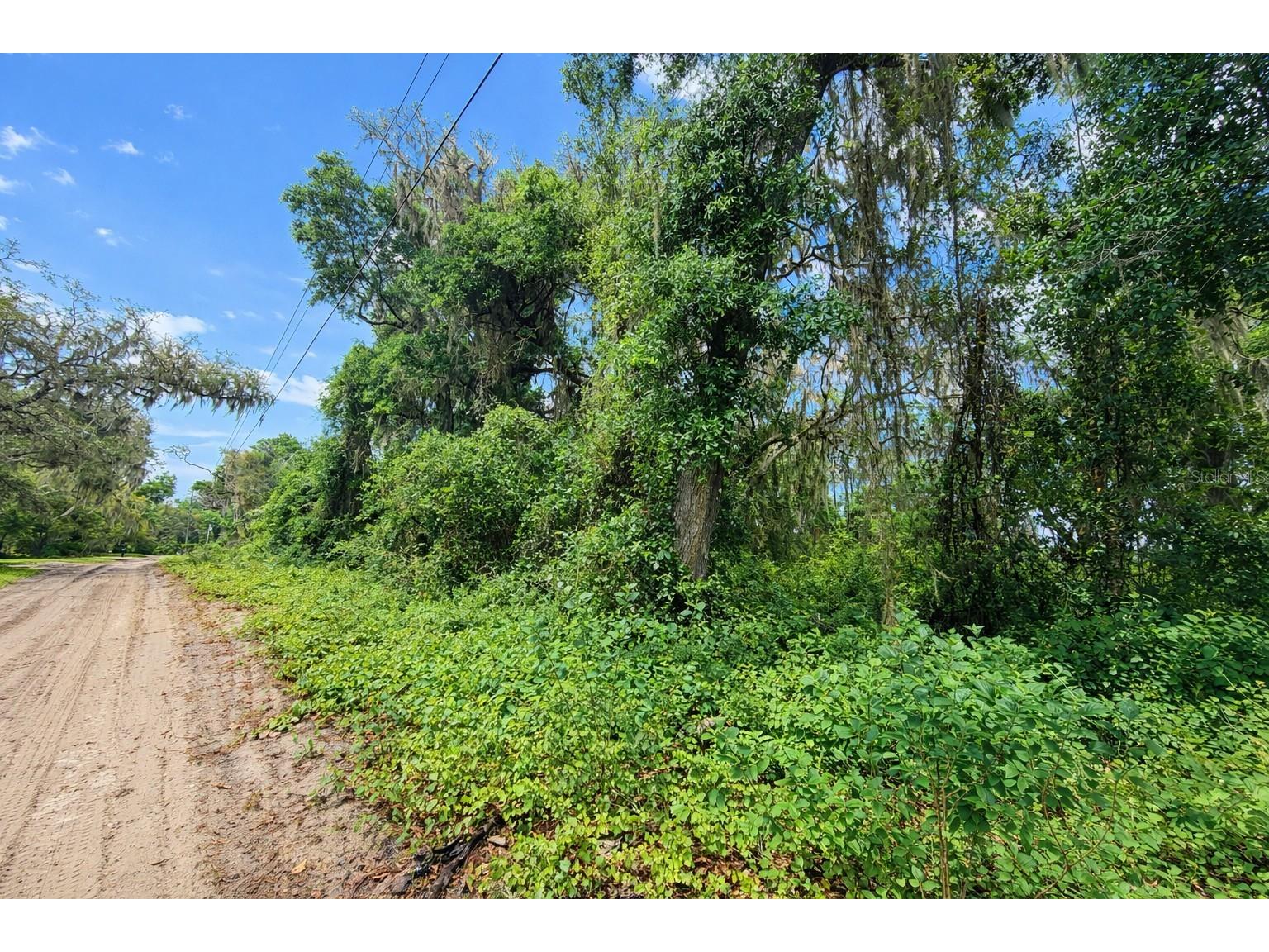 TBD NE 52nd Court Anthony FL 32617 OM722374 image5