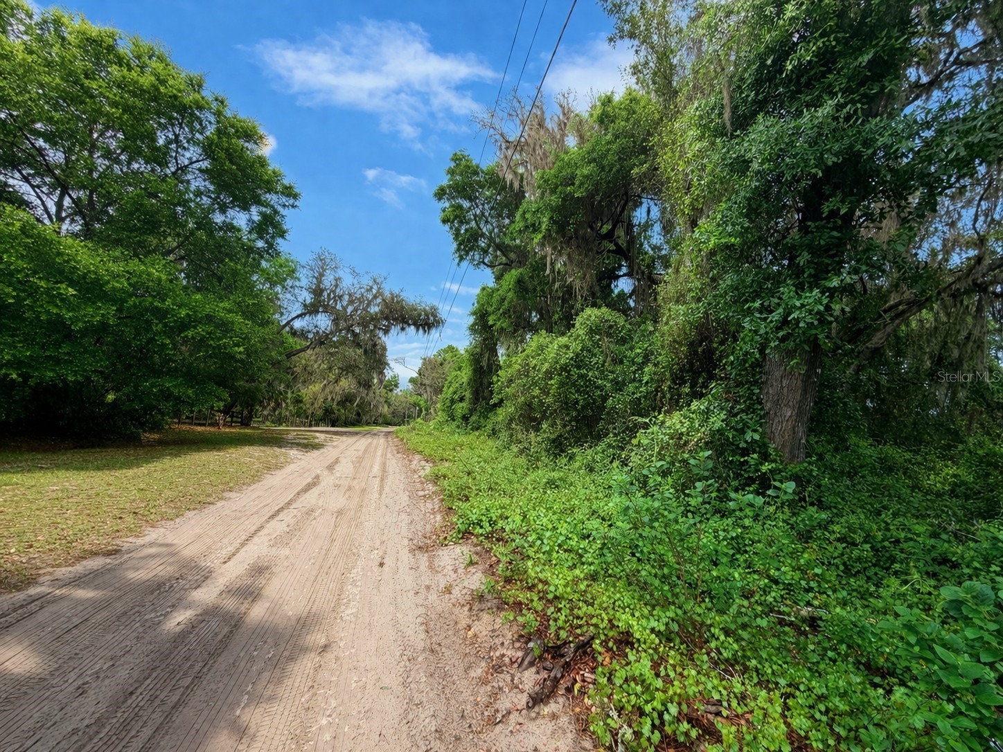 TBD NE 52nd Court Anthony FL 32617 OM722374 image6