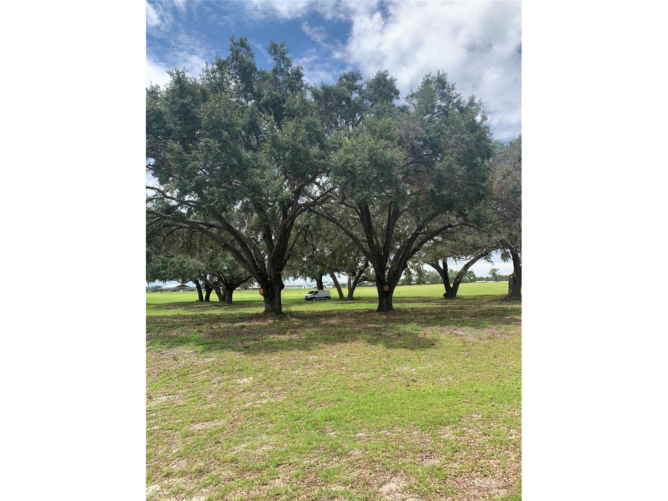 TBD Ne 56th Court Anthony FL 32617 OM720647 image1