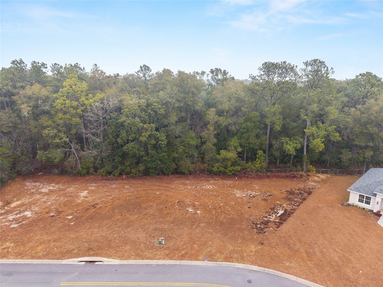 TBD NE 58th Circle Silver Springs FL 34488 OM720825 image1