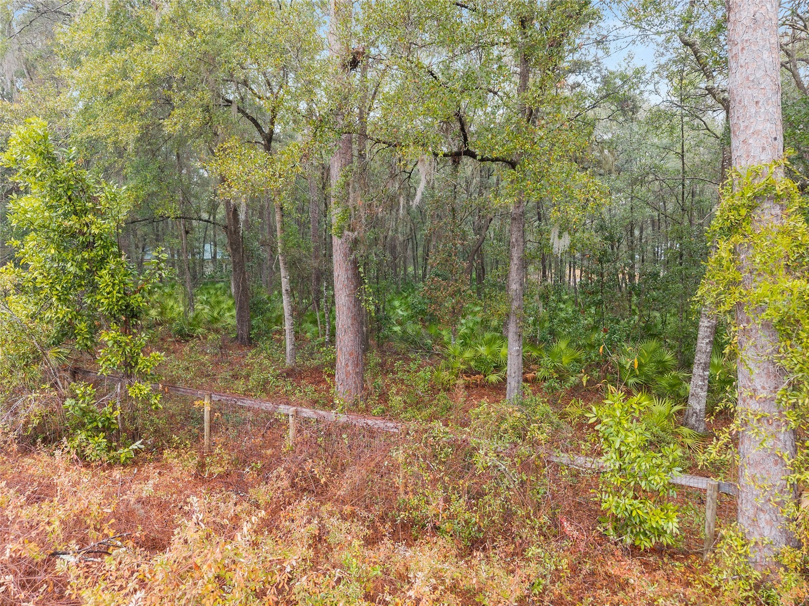 TBD NE 58th Circle Silver Springs FL 34488 OM720825 image10