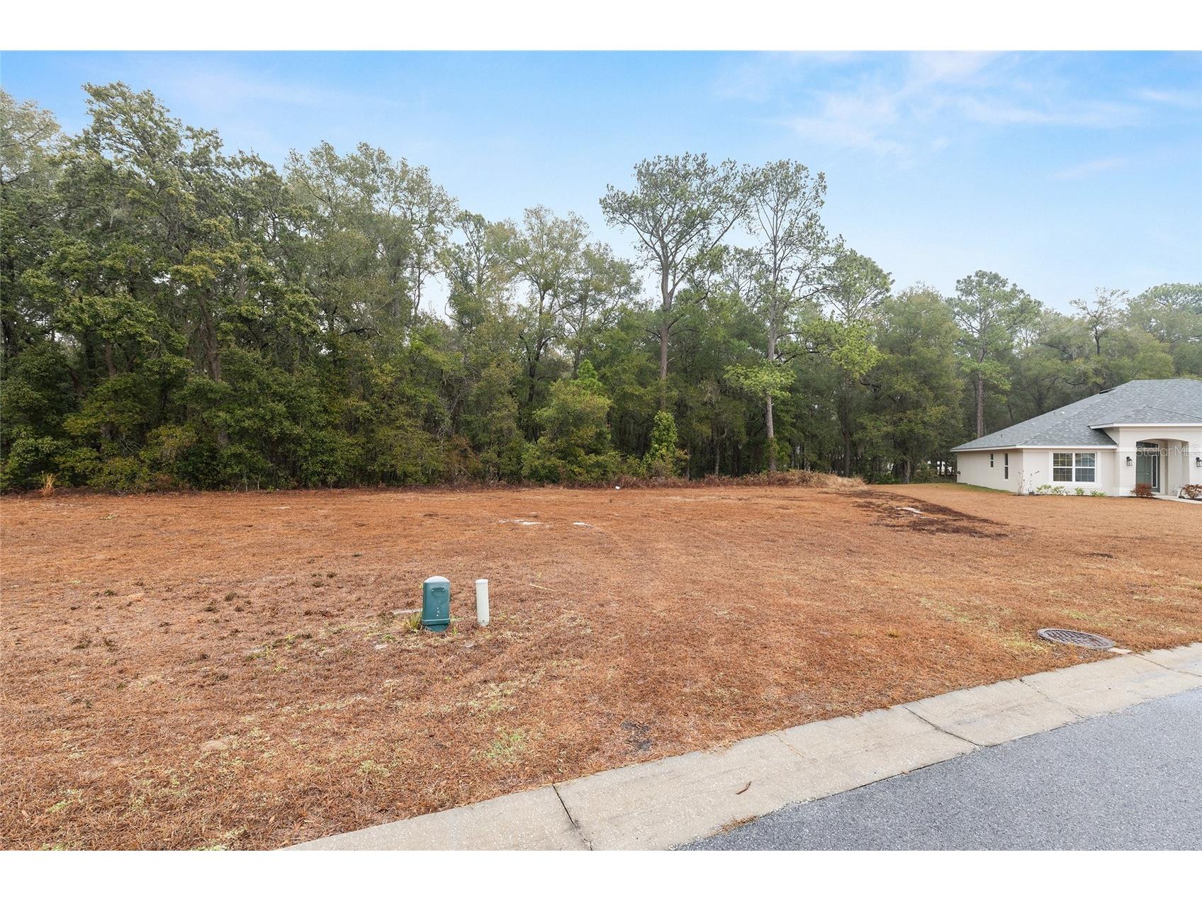 TBD NE 58th Circle Silver Springs FL 34488 OM720825 image21