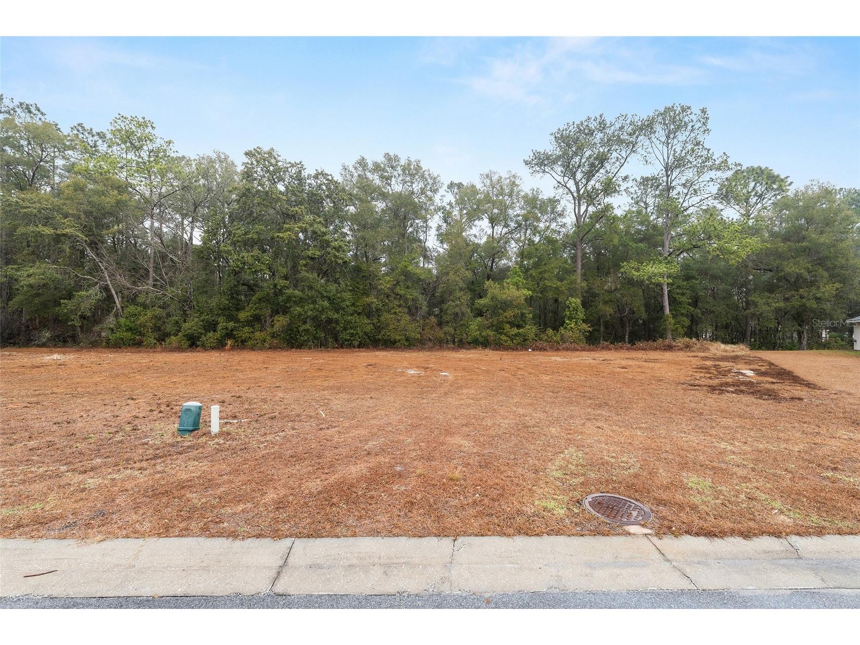 TBD NE 58th Circle Silver Springs FL 34488 OM720825 image22