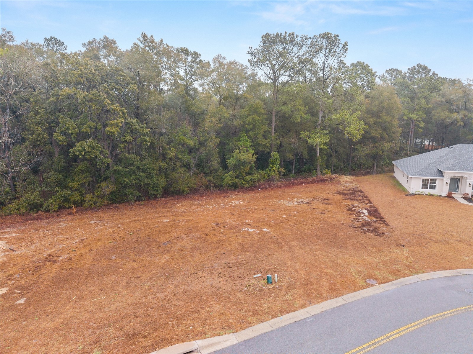 TBD NE 58th Circle Silver Springs FL 34488 OM720825 image3