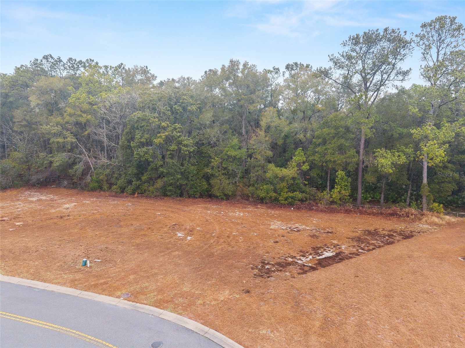 TBD NE 58th Circle Silver Springs FL 34488 OM720825 image5