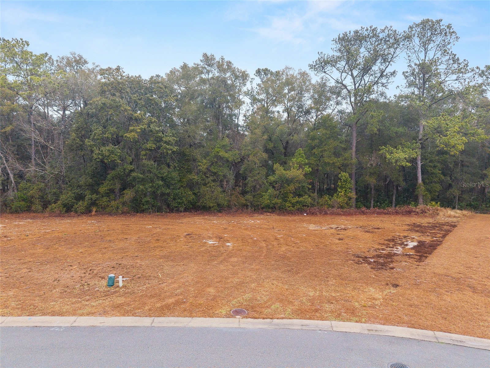 TBD NE 58th Circle Silver Springs FL 34488 OM720825 image6