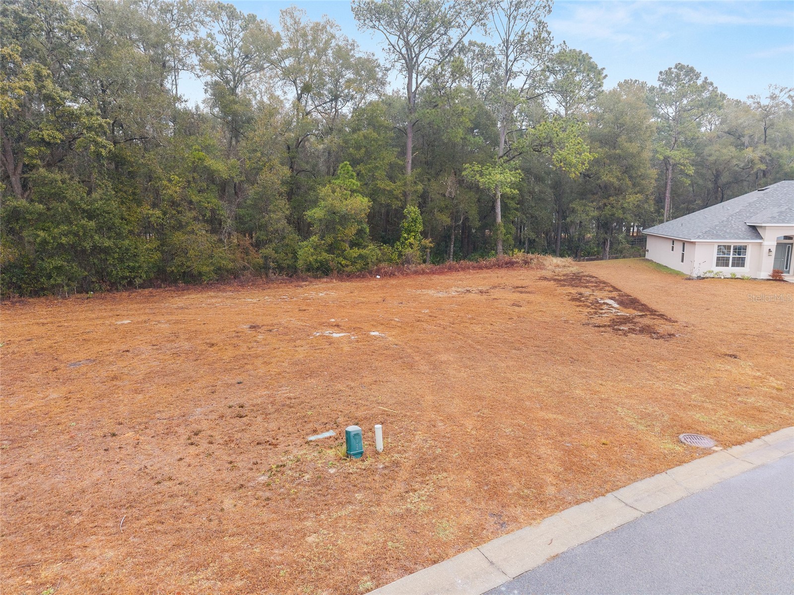 TBD NE 58th Circle Silver Springs FL 34488 OM720825 image7