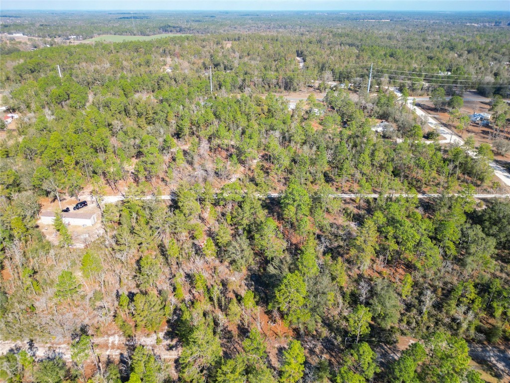 TBD NE 58th St Bronson FL 32621 OM693710 image15