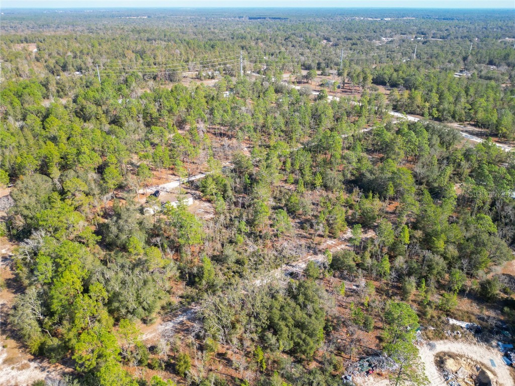 TBD NE 58th St Bronson FL 32621 OM693710 image16