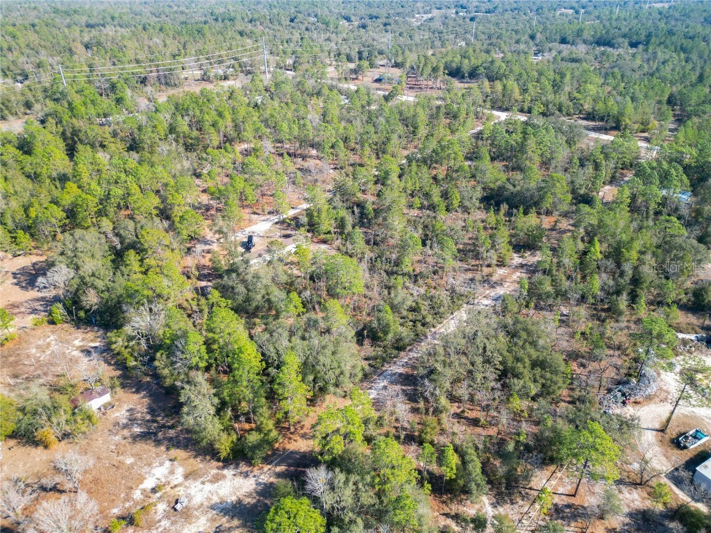 TBD NE 58th St Bronson FL 32621 OM693710 image17