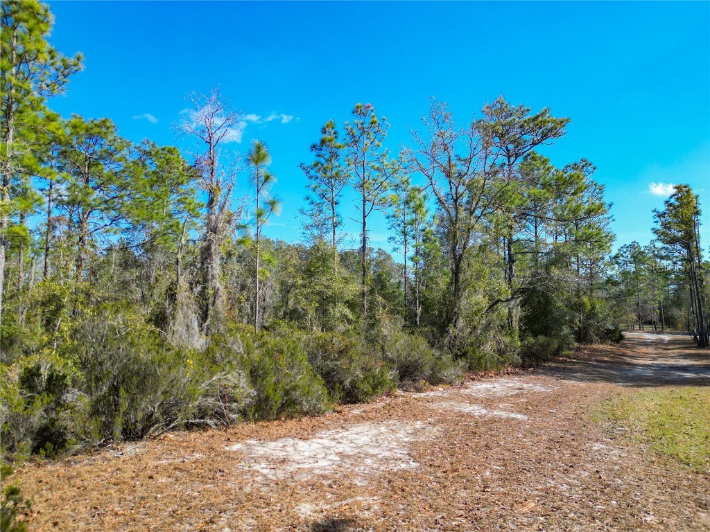 TBD NE 58th St Bronson FL 32621 OM693710 image3