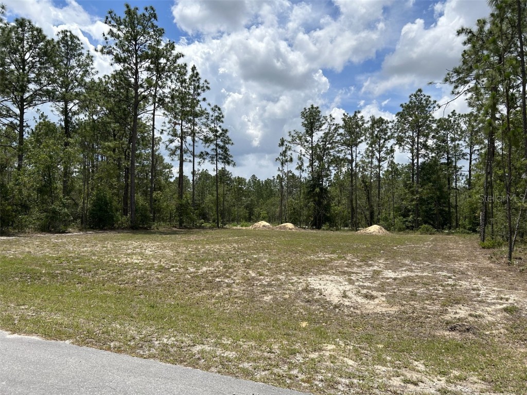 TBD NE 5th Avenue Williston FL 32696 OM658476 image1