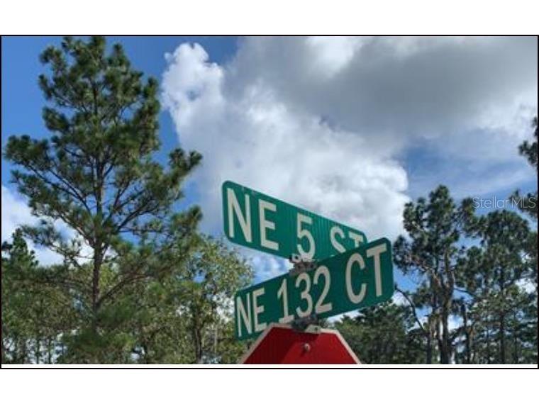 TBD NE 5th Street #12 Williston FL 32696 OM664045 image1