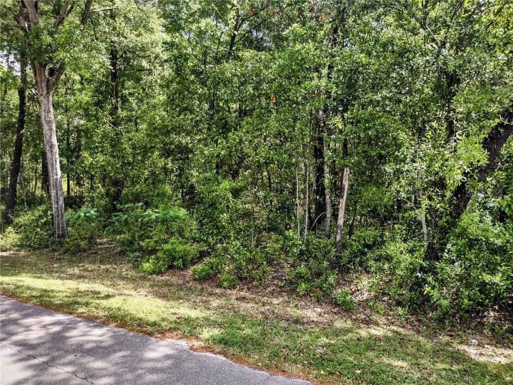 TBD NE 5th Street Williston FL 32696 OM704973 image4