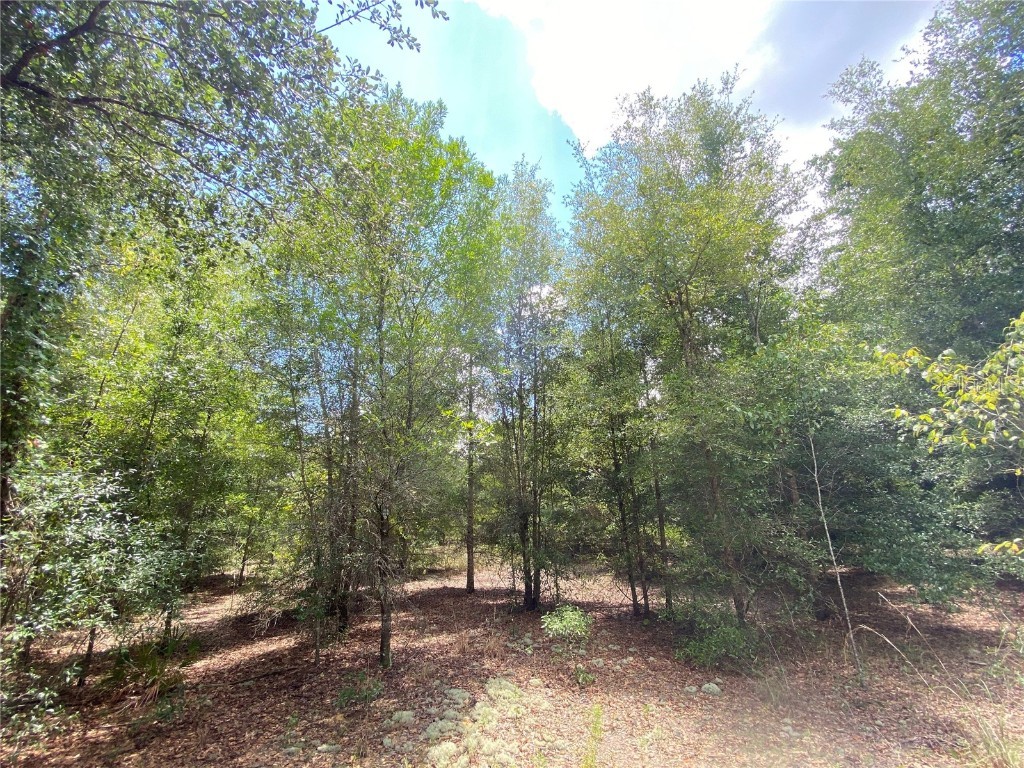 TBD NE 60th Street Williston FL 32696 OM654803 image1