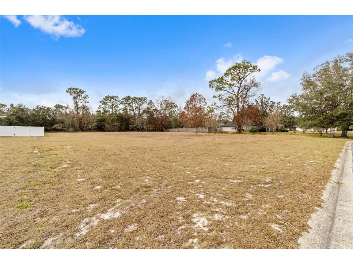 TBD Ne 60th Terrace Silver Springs FL 34488 OM650890 image1