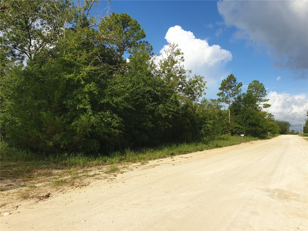TBD NE 63rd Place Williston FL 32696 A4580647 image1
